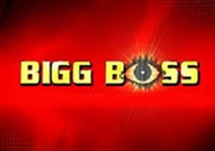 controversial pairs in Big boss