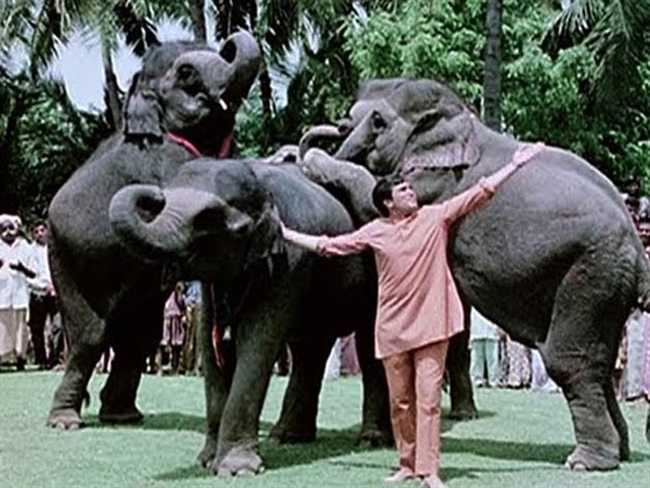 Human and animal's love story, 'Haathi Mere Saathi' movie's memories