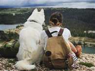 कुत्ते के प्रेम में की सारी हदें पार...