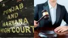 पंजाब-चंडीगढ़ में बड़ा न्यायिक फेरबदल: 23 जजों का ट्रांसफर, CBI-NIA कोर्ट को मिले नए जज; देखें लिस्ट