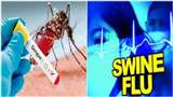 Swine Flu In Ludhiana: स्वाइन फ्लू के 18 और डेंगू के 22 नए मरीज मिले, स्वास्थ्य विभाग की बढ़ी चिंता