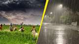 Punjab Weather Update: पंजाब में भारी वर्षा का अलर्ट, 20 जुलाई तक रहें सावधान! देखें ताजा अपडेट