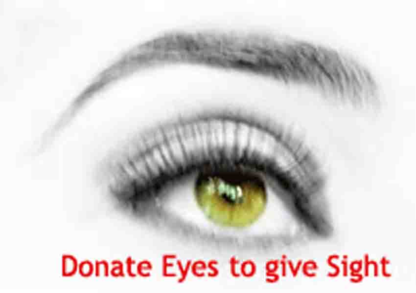 Essay Eye Donation