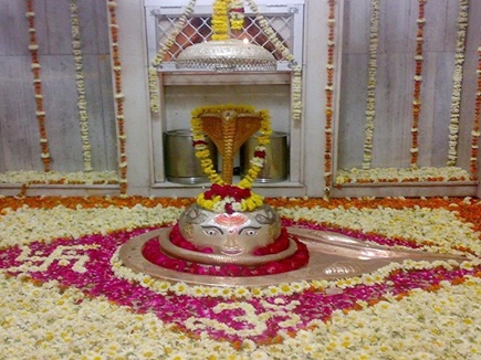 naidunia_image