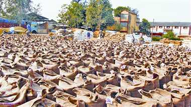 Image result for धान क्रय केन्द्र पर सन्नाटा