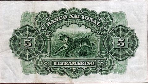naidunia_image