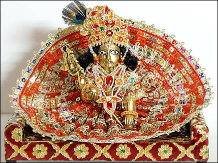 laddu gopal 13 08 2017