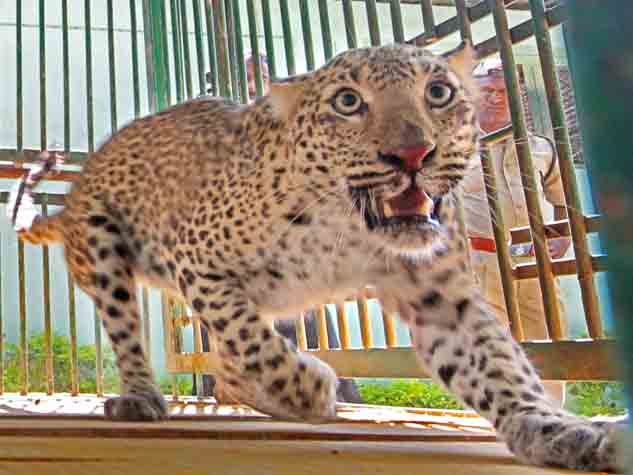 Image result for Indore Zoo