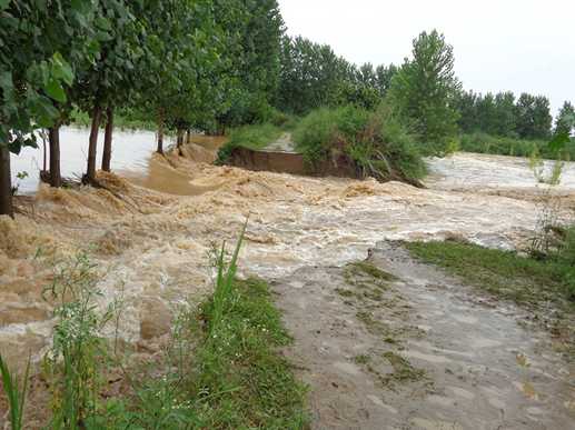 Over flow of water in beas river