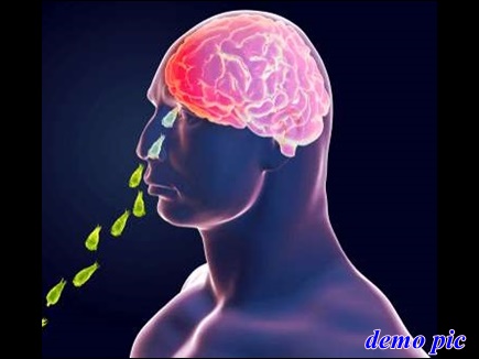 नाठसॠबह रहा था दिमाठà¤à¤¾ पानà¥, दà¥à¤°à¤¬à¥à¤¨ सॠà¤à¥ सरà¥à¤à¤°à¥