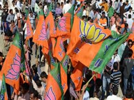 CG विधानसà¤à¤¾ à¤à¥à¤¨à¤¾à¤µ à¤à¥ लिठà¤à¤¾à¤à¤ªà¤¾ नॠ11 à¤à¤®à¥âमà¥à¤¦à¤µà¤¾à¤°à¥à¤ à¤à¥ सà¥à¤à¥ à¤à¤¾à¤°à¥ à¤à¥