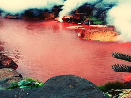 bloody-pond-in-japan- 31 01 2018