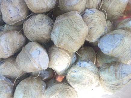 जंगल में मिली विस्फोटक सामग्री फटने से तीन बच्चे घायल