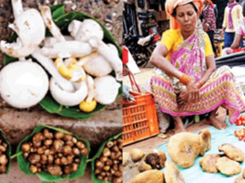 à¤°à¤à¤-à¤¬à¤¿à¤°à¤à¤à¥ à¤®à¤¶à¤°à¥à¤® à¤¬à¤¿à¤à¤¾à¤¡à¤¼ à¤¸à¤à¤¤à¥ à¤¹à¥à¤ à¤à¤ªà¤à¥ à¤¸à¥à¤¹à¤¤, à¤¸à¥à¤-à¤¸à¤®à¤ à¤à¤° à¤à¤¾à¤à¤