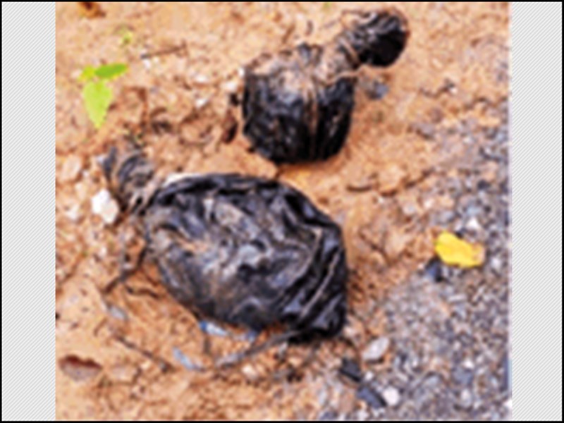 à¤¨à¤¾à¤°à¤¾à¤¯à¤£à¤ªà¥à¤° à¤®à¥à¤ à¤à¤µà¤¾à¤¨à¥à¤ à¤à¥ à¤¨à¥à¤à¤¸à¤¾à¤¨ à¤ªà¤¹à¥à¤à¤à¤¾à¤¨à¥ à¤à¥ à¤²à¤à¤¾à¤ à¤à¥à¤à¤° à¤¬à¤® à¤à¤¿à¤ à¤¡à¤¿à¤«à¥à¤¯à¥à¤