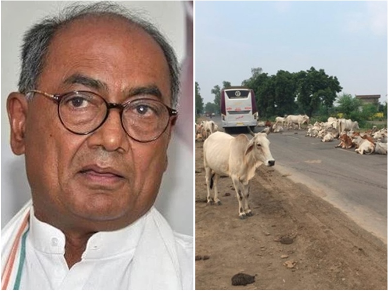 दिग्विजय सिंह का ट्वीट - ...तो सच्चे गौ-भक्त कहलाएंगे सीएम कमलनाथ