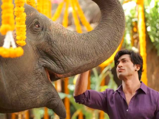 Junglee Box Office : फà¥à¤²à¥à¤ª हॠà¤à¤ विदà¥à¤¯à¥à¤¤ à¤à¤¾à¤®à¤µà¤¾à¤² à¤à¥ फिलà¥à¤®, दॠहफà¥à¤¤à¥ मà¥à¤ à¤à¤¤à¤¨à¤¾ हॠà¤à¤®à¤¾à¤¯à¤¾