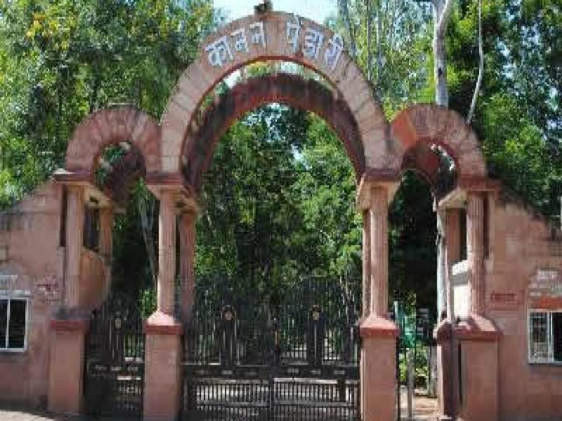 à¤¤à¤¾à¤¶ à¤à¥ à¤ªà¤¤à¥à¤¤à¥à¤ à¤à¥ à¤¤à¤°à¤¹ à¤à¤¿à¤° à¤°à¤¹à¥ à¤¬à¤¿à¤²à¤¾à¤¸à¤ªà¥à¤° à¤®à¥à¤ à¤à¤¾à¤¨à¤¨ à¤ªà¥à¤à¤¡à¤¾à¤°à¥ à¤à¤¿à¥âà¤¿à¤¯à¤¾à¤à¤° à¤à¥ à¤¬à¤¾à¤à¤à¤¡à¥à¤°à¥à¤µà¤¾à¤²