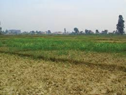 मधà¥âय पà¥à¤°à¤¦à¥à¤¶ मà¥à¤ फà¥à¤°à¥ हà¥à¤²à¥à¤¡ हà¥à¤à¥ विà¤à¤¾à¤¸ पà¥à¤°à¤¾à¤§à¤¿à¤à¤°à¤£à¥à¤ à¤à¥ à¤à¤®à¥à¤¨