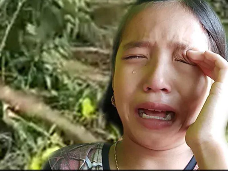 à¤à¥à¤°à¥à¤¨ à¤®à¤£à¤¿à¤ªà¥à¤° à¤®à¤¿à¤¶à¤¨ à¤à¥ à¤²à¤¿à¤ à¤¸à¤°à¤à¤¾à¤° à¤¨à¥ à¤¬à¤¨à¤¾à¤¯à¤¾ 9 à¤¸à¤¾à¤² à¤à¥ à¤¬à¤à¥à¤à¥ à¤à¥ 'à¤à¥à¤°à¥à¤¨ à¤à¤à¤¬à¥à¤¸à¥à¤¡à¤°', à¤à¤¸ à¤à¤¾à¤¸ à¤µà¤à¤¹ à¤¸à¥ à¤à¥à¤¨à¤¾