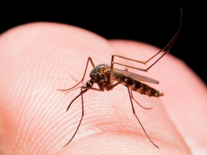 à¤à¥à¤¨ à¤à¤¾ à¤à¤®à¤¾à¤², रà¥à¤¡à¤¿à¤à¤¶à¤¨ सॠमà¤à¥à¤à¤°à¥à¤ à¤à¥ नपà¥à¤à¤¸à¤ बनाà¤à¤° à¤à¤° दिया सफाया