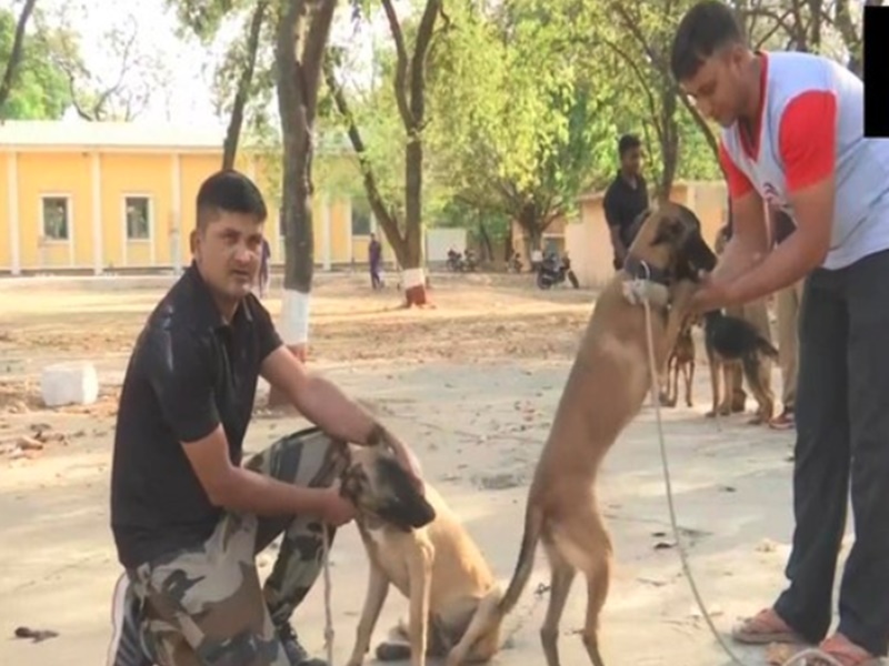Politics over Dog transfer in MP : 'à¤à¥à¤¤à¥à¤¤à¥à¤' à¤à¥ तबादलॠपर à¤à¤¿à¤°à¥ à¤à¤®à¤²à¤¨à¤¾à¤¥ सरà¤à¤¾à¤°, BJP नà¥à¤¤à¤¾ बà¥à¤²à¥- à¤à¤¨à¤à¥ तॠबà¤à¥à¤¶ दà¥à¤¤à¥
