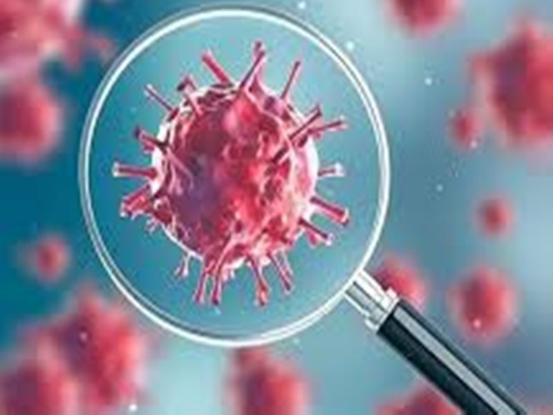 Coronavirus Chhattisgarh News: 127 maximum corona patients found ...