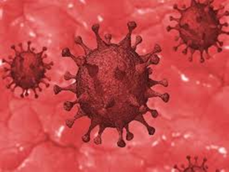 Coronavirus Madhya Pradesh News confirmed 207 new Corona patients ...