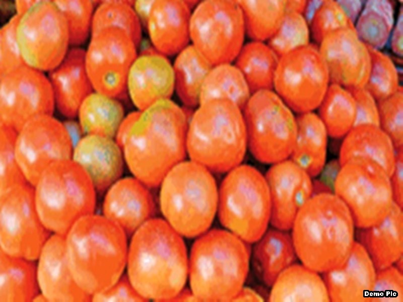 Tomato Prices Skyrocket: आसमान छूने लगा टमाटर का भाव, चार गुना तक बढ़ गए दाम