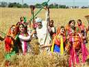 Punjab Budget 2020 : कर्मचारियों, किसानों, युवाओं की मौजां ही मौजां, पढ़िए बड़ी बातें
