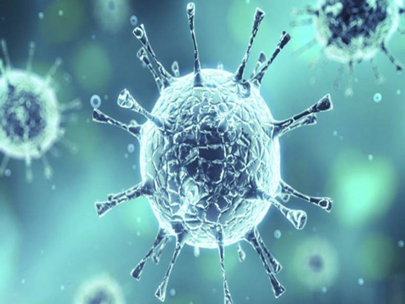 coronavirus:Research reveals half coronavirus eradicated at 23 ...