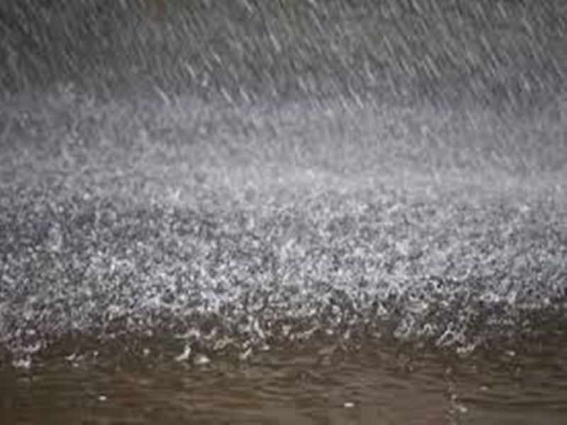 Rain in Madhya Pradesh : à¤à¤¿à¤à¤¦à¤µà¤¾à¥à¤¾, साà¤à¤° à¤à¤° बà¥à¤¤à¥à¤² मà¥à¤ à¤à¥à¤°à¤¦à¤¾à¤° बारिश, बिà¤à¤²à¥ à¤à¤¿à¤°à¤¨à¥ सॠà¤à¤ महिला à¤à¥ मà¥à¤¤, तà¥à¤¨ à¤à¥à¤²à¤¸à¥
