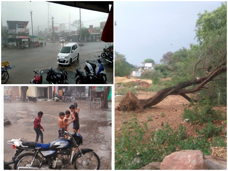 Madhya Pradesh Weather : गर्मी से राहत, ओलों के साथ तेज बरसात, आंधी से गिरे पेड़,  बिजली गिरने से एक बालक की मौत