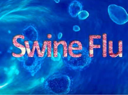 Swine flu in Rajasthan: सà¥à¤µà¤¾à¤à¤¨ फà¥à¤²à¥ सॠà¤à¤ दिन मà¥à¤ 14 मà¥à¤¤, 341 पाà¥
à¤à¤¿à¤à¤¿à¤µ