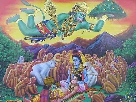 Uttarakhand govt begins hunt for mythical herb Sanjeevani Booti