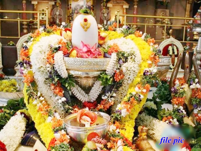 à¤¸à¥à¤® à¤ªà¥à¤°à¤¦à¥à¤· à¤µà¥à¤°à¤¤ à¤à¥ à¤¦à¥à¤°à¥à¤²à¤­ à¤¸à¤à¤¯à¥à¤ à¤®à¥à¤ à¤¹à¥ à¤°à¤¹à¤¾ à¤°à¥à¤¦à¥à¤°à¤¾à¤­à¤¿à¤·à¥à¤, à¤à¤¬ à¤®à¤¨à¥à¤à¥ à¤¶à¤¿à¤µà¤°à¤¾à¤¤à¥à¤°à¤¿