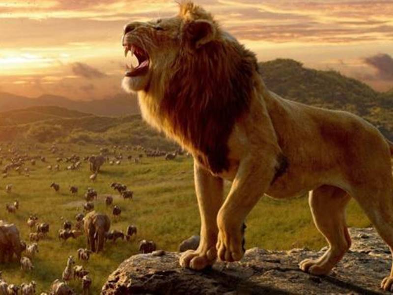 The Lion King Box Office : तà¥à¤¨ दिन मà¥à¤ 50 à¤à¤°à¥à¤¡à¤¼ पार, à¤à¤¸à¤¾ à¤à¤°à¤¨à¥ वालॠ2019 à¤à¥ दà¥à¤¸à¤°à¥ विदà¥à¤¶à¥ फिलà¥à¤®