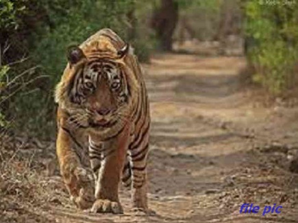 बाठà¤à¥ à¤à¤¾à¤² बà¥à¤à¤¨à¥ à¤à¤¾ पà¥à¤°à¤¯à¤¾à¤¸ à¤à¤°à¤¤à¥ 6 à¤à¤°à¥à¤ªà¤¿à¤¤ à¤à¤¿à¤°à¤«à¥à¤¤à¤¾à¤°, 10 लाठà¤à¥ à¤
वशà¥à¤· à¤à¤¬à¥à¤¤