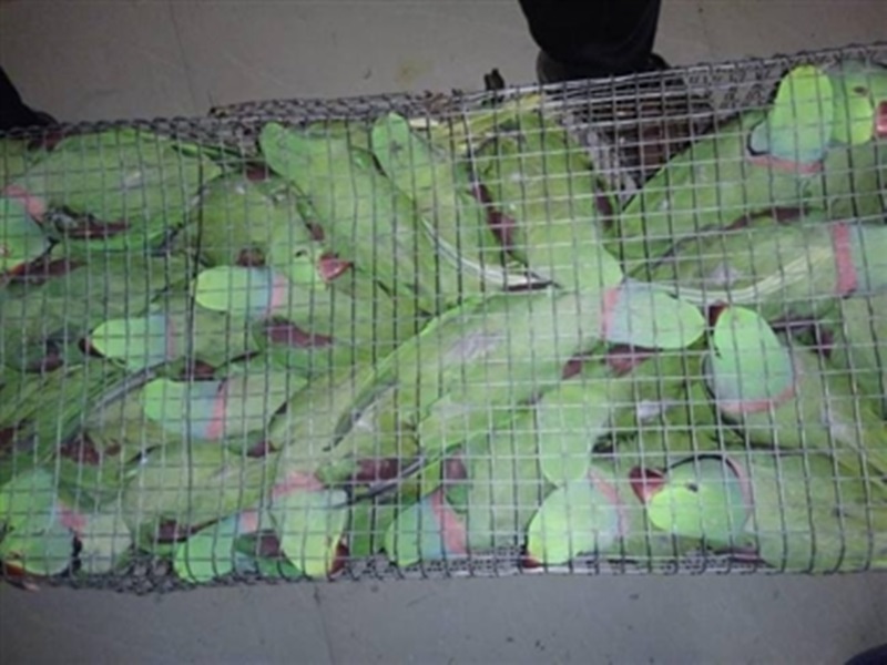 Bilaspur : à¤à¤®à¤°à¤à¤à¤à¤ à¤à¤à¥à¤¸à¤ªà¥à¤°à¥à¤¸ à¤®à¥à¤ à¤²à¤¾à¤µà¤¾à¤°à¤¿à¤¸ à¤¬à¤à¥à¤¸à¥à¤ à¤®à¥à¤ à¤®à¤¿à¤²à¥ 100 à¤¤à¥à¤¤à¥